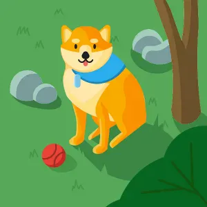 Cerco badante vicino a me