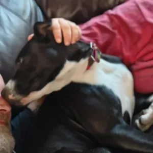 Athéna a besoin d'activités