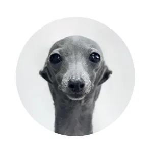 Procuro uma empregada doméstica perto de mim