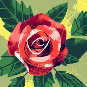 Je suis disponible pour garder les chiens et les chats 