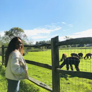 Responsible housekeeper in Paris