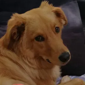 Je recherche une femme de ménage