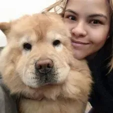 Pet sitter de weekend et été 