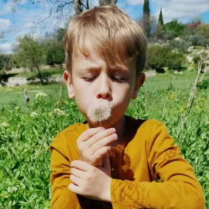 Recherche Baby-Sitter – Matins Scolaires