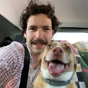 Experienced Dog Lover Available for Walks & Home Visits