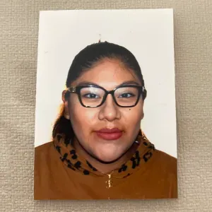 Femme de ménage à Genève,Suiss