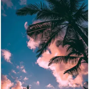 Femme de ménage (week-end uniquement) 