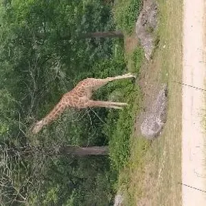 Offre d'emploi pour une baby-sitter à Chartres