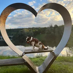 Baby-sitter expérimenté sur Nancy 