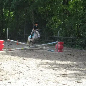 je souhaite devenir vétérinaire