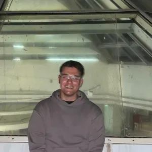 Pet Sitting em Sintra , Lisboa e arredores 