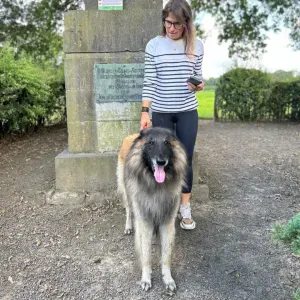 Pet sitter de rêve à Bruxelles