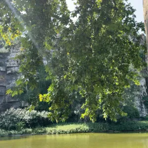 Pour vos enfants, la confiance prime !