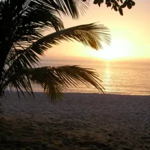 Poste pour un(e) aide ménagère à Villejuif