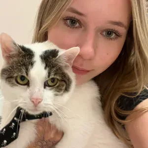 Petsitter, opieka nad zwierzętami 