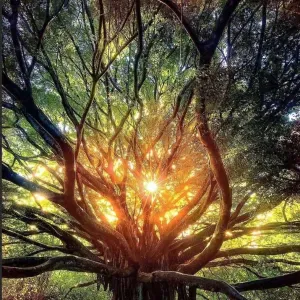 Aide a domicile pour personnes tétraplégique 