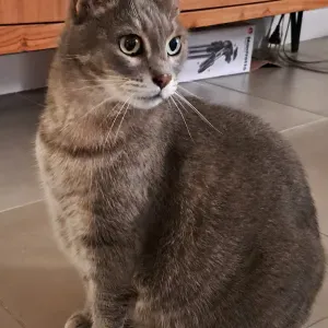 Je cherche une nounou pour le périscolaire 