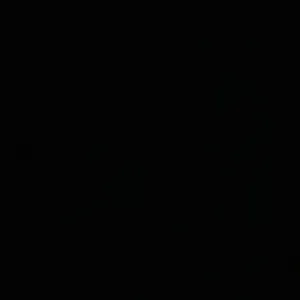 Aide aux devoirs expérimentée !