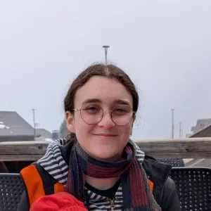Baby-sitter sur Lyon et alentours