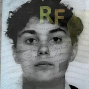 Homme de ménage autonome à St Fulgent