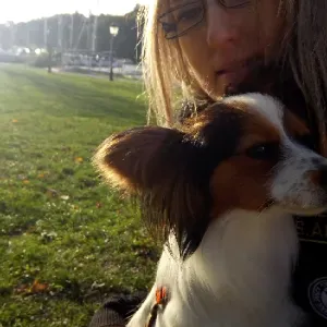 Garde d'animaux, chiens, chats, nac, oiseaux, ....