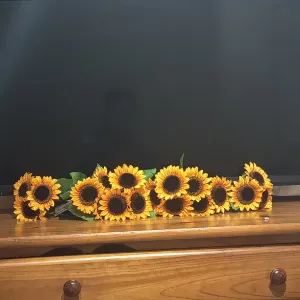 Busco cuidadora  Cotes