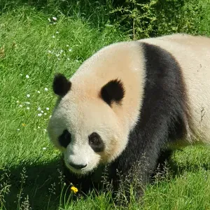 Je recherche une garde péri scolaire 