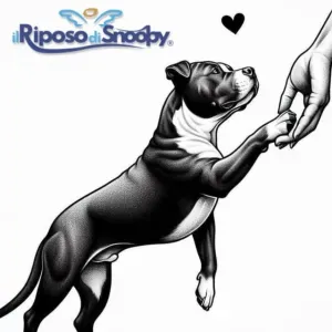 Lavoro per adetto alle pulizie a Battipaglia