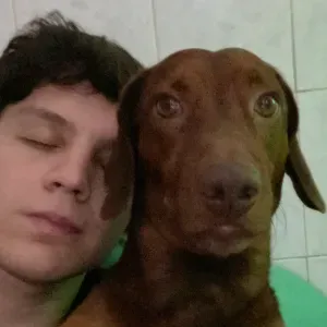 Servicios de cuidado de mascotas!