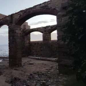 Visite per cibo gatti