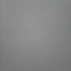 Femme de ménage responsable à Bruges Belgique..