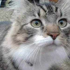 Opieka seniora Warszawa