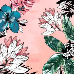 Servizio di pulizia 2 volte a settimana Varese centro