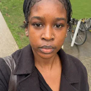 Femme de ménage sur Isère aux alentours 