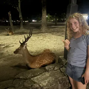 Pet-Sitter / Promenades a domicile Luxembourg 