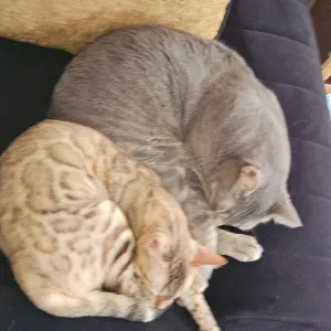 Snow et naya ont besoin de visite 