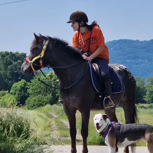 Pet Sitting zona Ivrea e bassa Valle d'Aosta