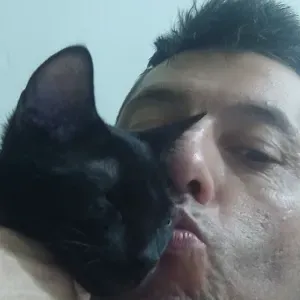 Cuidador en Elda y alrededores 