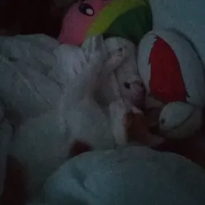 Aide aux devoirs vers Lyon, demander pour+ d'infos