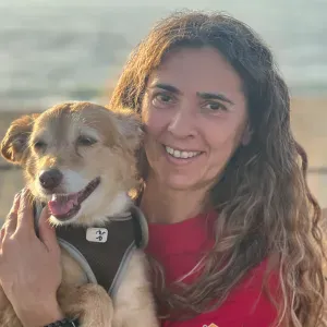 Alimentação dos gatos