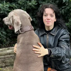 Offro petsitting per il tuo amico peloso a Firenze 