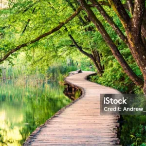 RECHERCHE FEMME / HOMME DE MENAGE