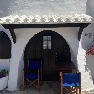 Pet sitter à Lyon et les environs 