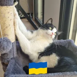 Je cherche une baby-sitter à domicile