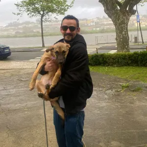 Preciso de cuidador com urgência 