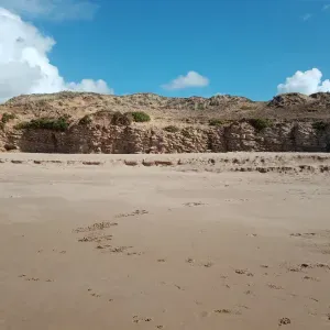 Balade ou visite de chien Pet à le mans 