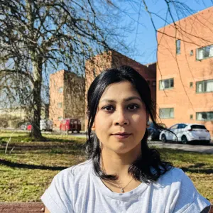 Responsible cleaner in Copenhagen