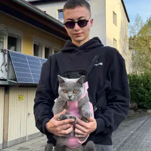 Tierbetreunngsdienste in Langen