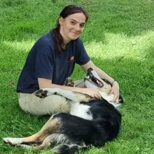 Pet-sitter/ promenade sur plelan-le-grand 