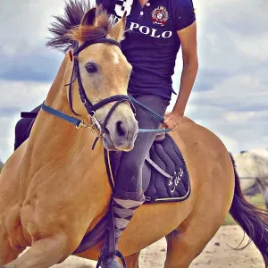 Je cherche un(e) aide ménagère près de chez moi